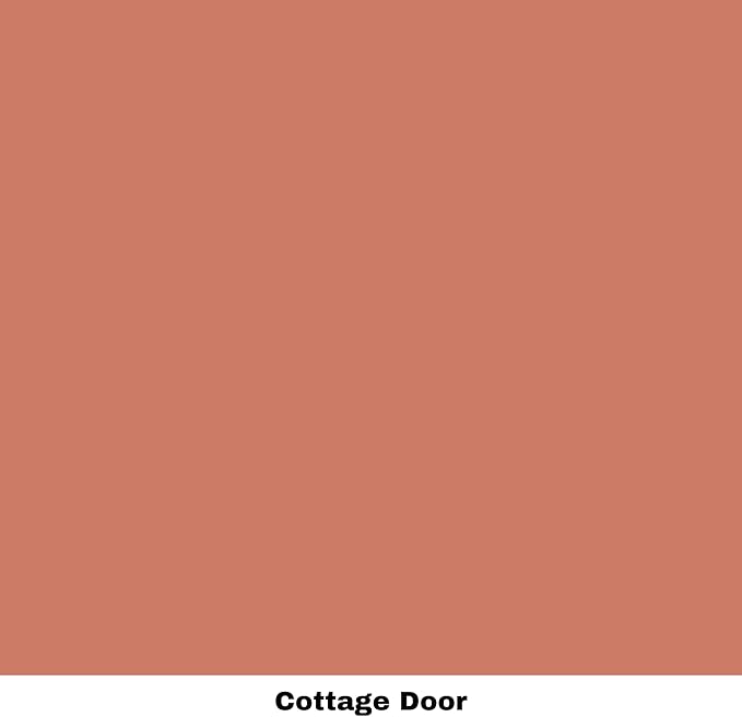 Dixie Belle Paint Company Chalk Finish Furniture Paint - Cottage Door (4oz) - Matte Dusty Coral Chic Chalk Mineral DIY Furniture Paint