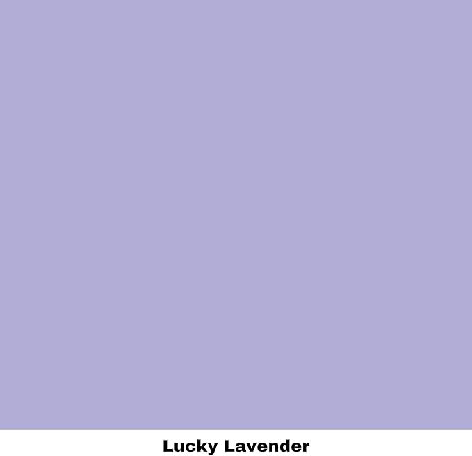 Dixie Belle Paint Company Chalk Finish Furniture Paint - Lucky Lavender (4oz) - Matte Pastel Purple Chic Chalk Mineral DIY Furniture Paint