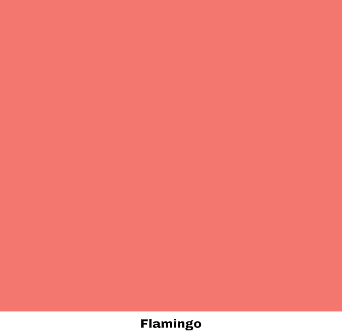 Dixie Belle Paint Company Chalk Finish Furniture Paint - Flamingo (1 Gallon - 128oz) - Matte Bright Coral Chic Chalk Mineral DIY Furniture Paint