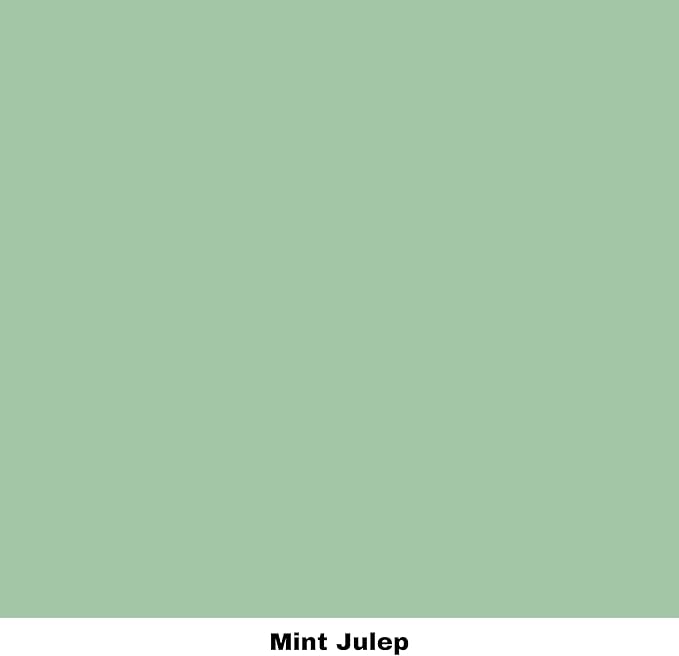 Dixie Belle Paint Company Chalk Finish Furniture Paint - Mint Julep (16oz) - Matte Mint Green Chic Chalk Mineral DIY Furniture Paint