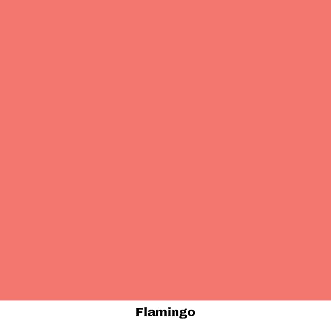 Dixie Belle Paint Company Chalk Finish Furniture Paint - Flamingo (4oz) - Matte Bright Coral Chic Chalk Mineral DIY Furniture Paint