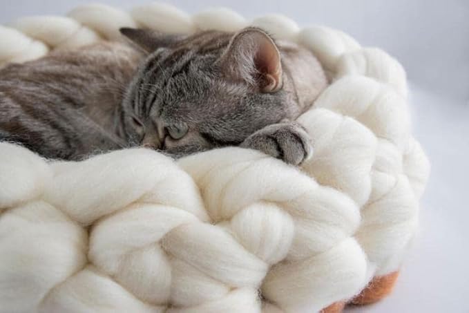 Natural Wool roving, 8 OZ. Best for Needle Felting, handcrafts and Spinning. Natural Colours, un-Dyed. (White Ecru, 8 oz)