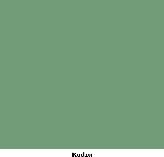 Dixie Belle Paint Company Chalk Finish Furniture Paint - Kudzu (32oz) - Matte Natural Green Chic Chalk Mineral DIY Furniture Paint