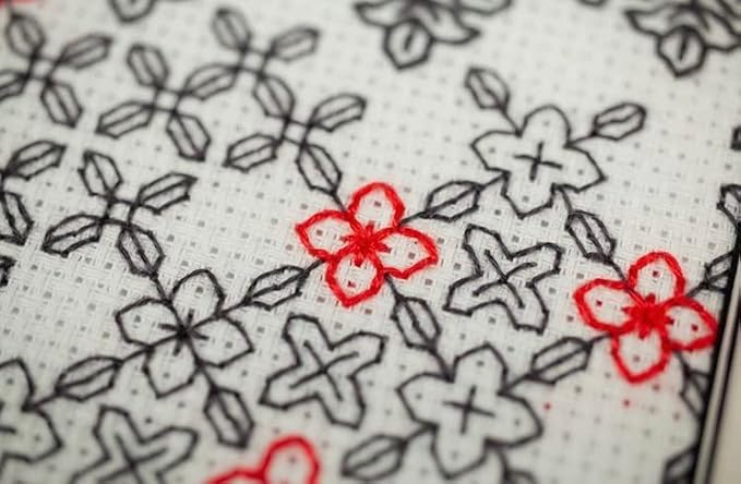 RIOLIS - Mysterious Rose 1887, Cross Stitch Kits 8¼" x 11¾", Cross Stitch Kits for Beginners & Advanced, Crossstitching Kit Adult, Embroidery Counted Stitching Kit
