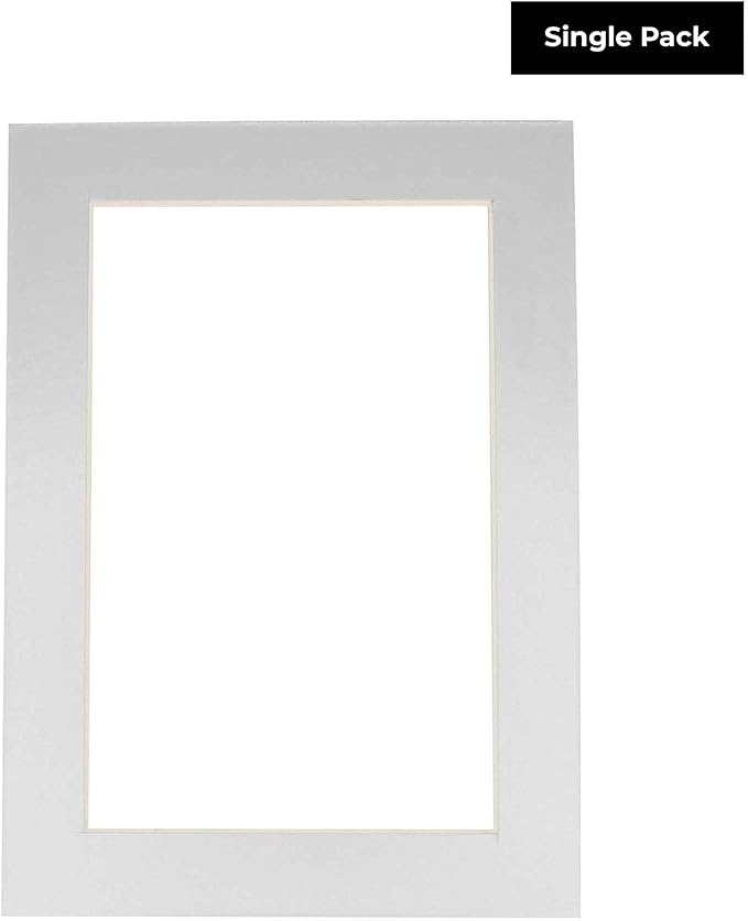 8x10 Mat for 6x8 Photo - Precut Metallic Silver Picture Matboard for Frames Measuring 8 x 10 Inches - Bevel Cut Matte to Display Art Measuring 6 x 8 Inches - Acid Free ONE MAT