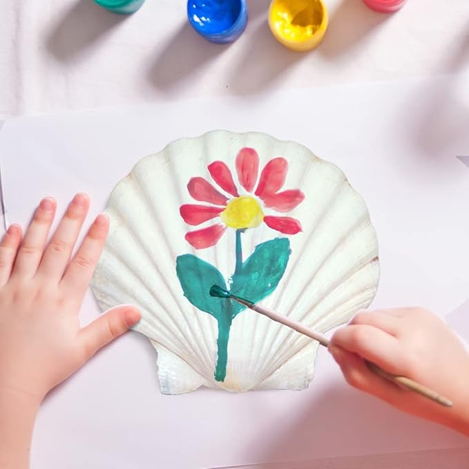 30 pcs 2-3 inch Natural Scallop Shells White Sea Shells from Sea Beach for DIY Craft Home Décor