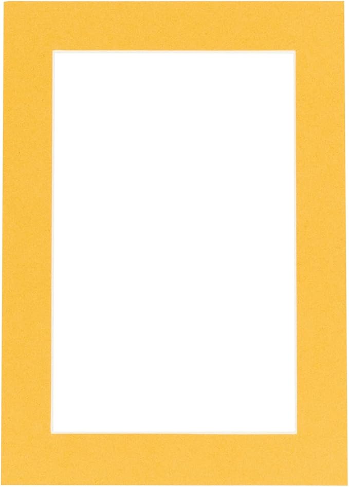 8x10 Mat Bevel Cut for 5.5x8.5 Photos - Acid Free Topaz Orange Precut Matboard - For Pictures, Photos, Framing - 4-ply Thickness