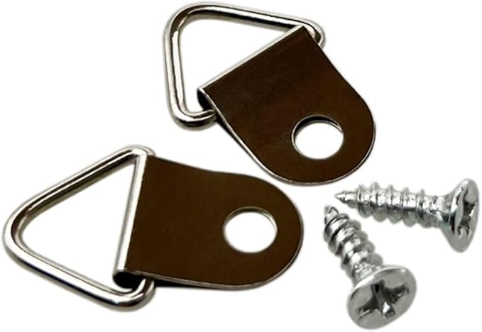 Silver Triangle Ring Picture Hangers (100 Pack) with Screws for Hanging Frames, Paintings, Artwork, Photos on Drywall