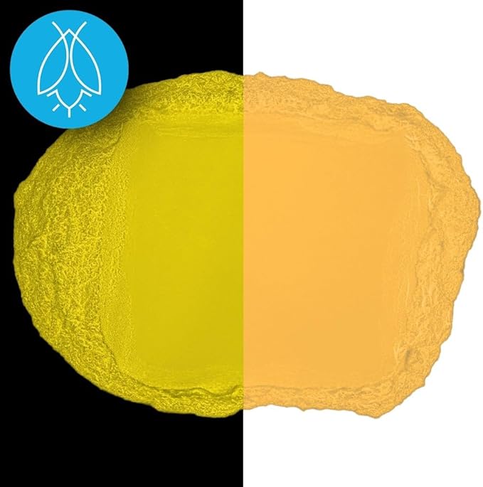 Glow in The Dark Pigment Powder - Neutral and Fluorescent Color for Art Painting, Fine Art, Nail Art Paint, and DIY Crafts - Long Lasting 10+ Color Options - Fluorescent Orange - (30 Grams/1 Ounce)