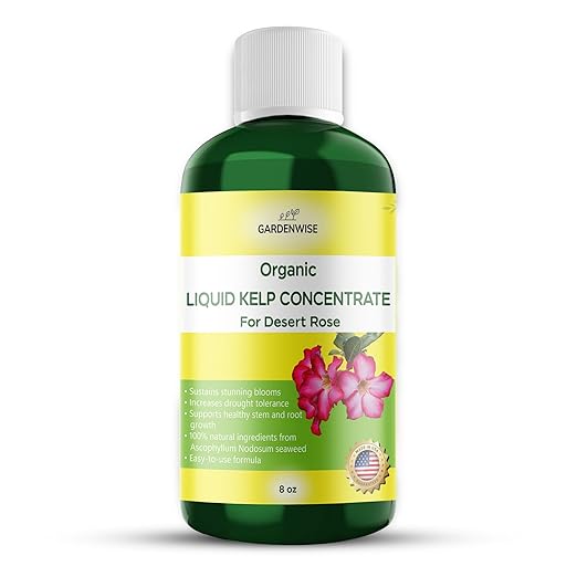 Liquid Kelp Fertilizer for Desert Rose - Plant Food for Adenium & Desert Plants - Organic Seaweed Fertilizer for Robust Growth and Blooms (8 OZ)