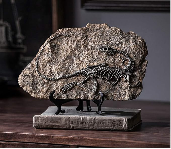 XINDAM Resin Dinosaur Fossil Statue Model Simulated Skeleton Home Office Display Decorative Craft Box Decoration (Style 1)