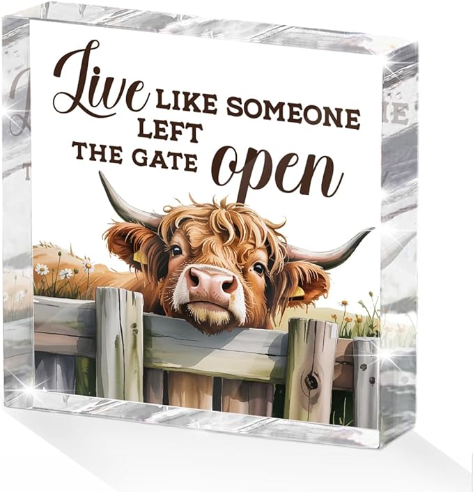 Cute Cow Decorative Signs, Rustic Western Animal Office Desk Decor Acrylic Sign 4x4 Inch, Desk Accessories Signs for Bathroom Cubicle Farmhouse Kitchen, Cow Gifts for Women Friend