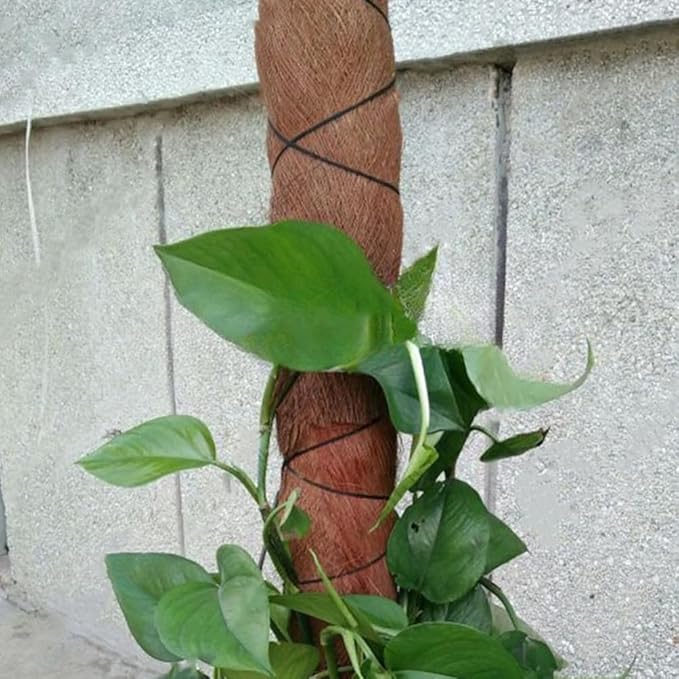 VOSAREA 5 Sheets Fake Tree Barks Coconut Bark Decoration Garden Background Bark for Crafts Garden Decor