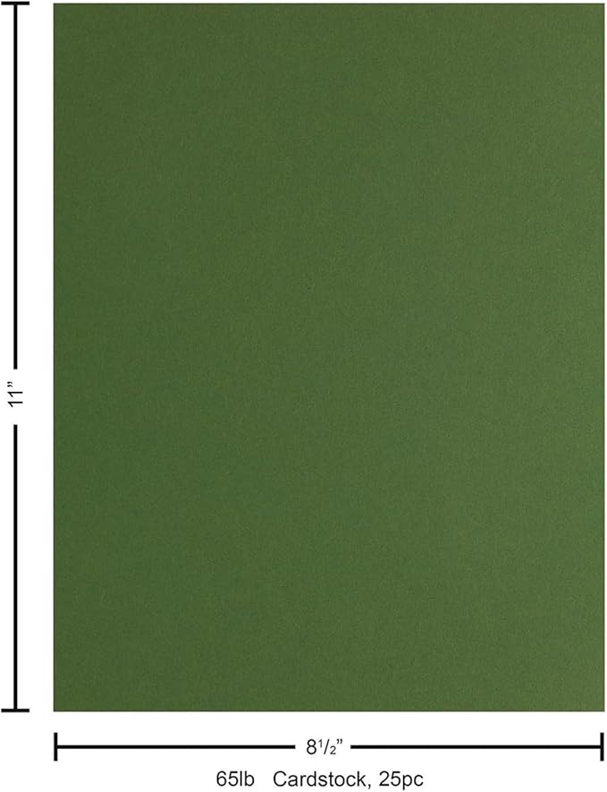 PA Paper Accents Stash Builder Cardstock 8.5" x 11" BParrot, 65lb colored cardstock paper for card making, scrapbooking, printing, quilling and crafts, 25 piece pack