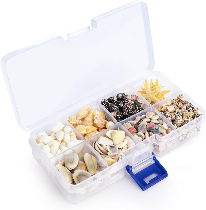 Premium Tiny Seashell Mix, Including Sea Shells, Sea Snails and Starfish Total 300+PCS (8 Kinds), Shells for Crafts Decorating Resin and Mosaics Projects DIY Crafts Home Decor Beach Themed Party