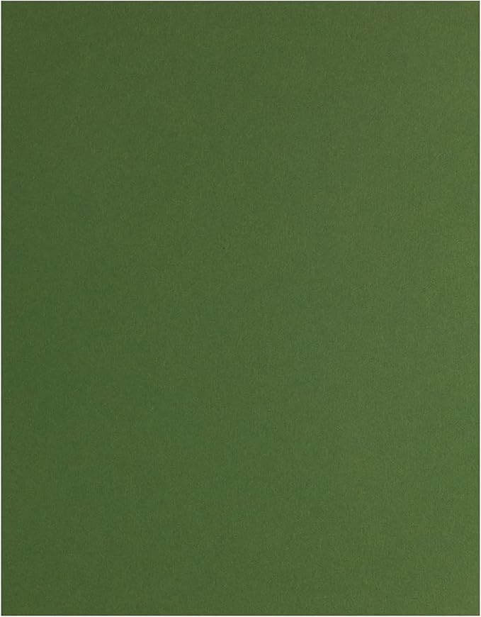 PA Paper Accents Stash Builder Cardstock 8.5" x 11" BParrot, 65lb colored cardstock paper for card making, scrapbooking, printing, quilling and crafts, 25 piece pack