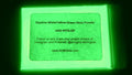 Glow in The Dark Pigment Powder - Neutral and Fluorescent Color for Art Painting, Fine Art, Nail Art Paint, and DIY Crafts - Long Lasting, 10+ Color Options - Neutral Green - (60 Grams/ 2.12 oz)