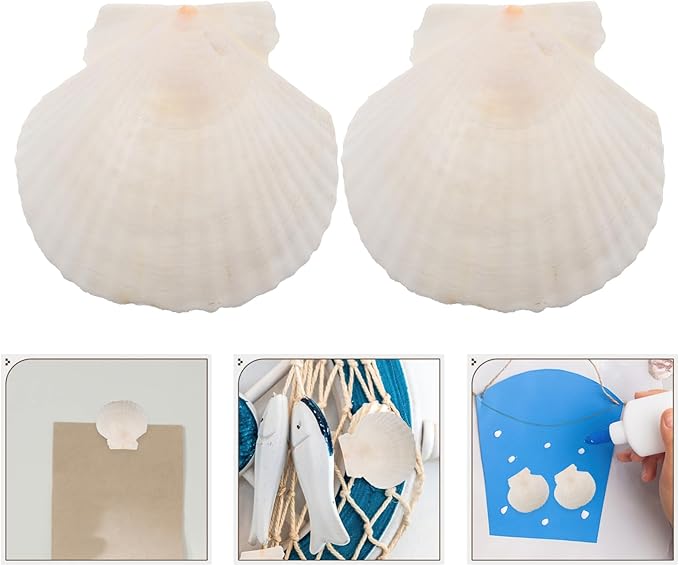 GLEAVI Scallop Shells for Crafts: 21pcs Natural Scallop Shells Bulk 3.14 Inch Sea Shell Decoration for Ocean Themed Parties and Home Decor
