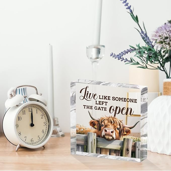 Cute Cow Decorative Signs, Rustic Western Animal Office Desk Decor Acrylic Sign 4x4 Inch, Desk Accessories Signs for Bathroom Cubicle Farmhouse Kitchen, Cow Gifts for Women Friend