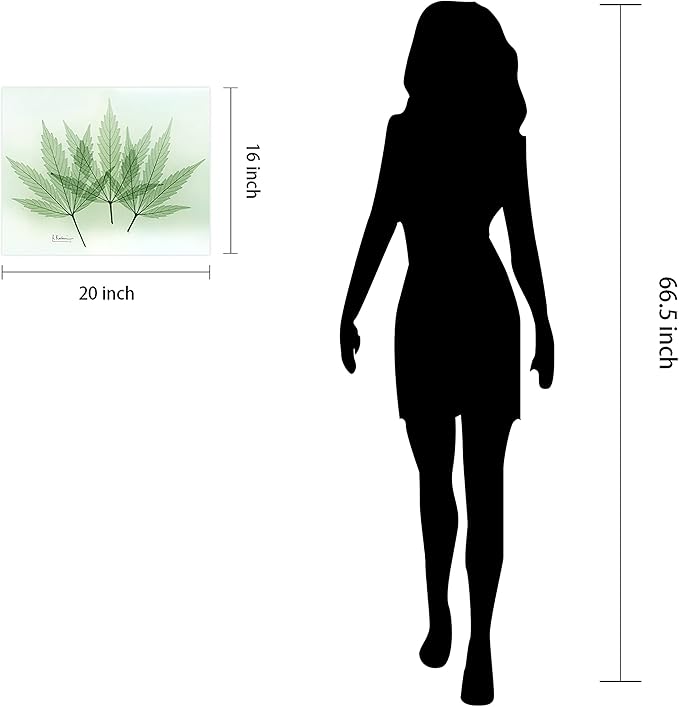 Empire Art Direct Frameless Free Floating Tempered Glass Panel Graphic Wall Art Ready to Hang, 16" x 20", Green Flower