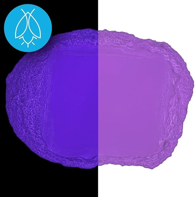 Glow in The Dark Pigment Powder - Neutral and Fluorescent Color for Art Painting, Fine Art, Nail Art Paint, and DIY Crafts - Long Lasting, 10+ Color Options - Fluorescent Purple - (60 Grams/ 2.12 oz)