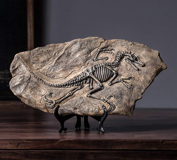 XINDAM Resin Dinosaur Fossil Statue Model Simulated Skeleton Home Office Display Decorative Craft Box Decoration (Style 2)