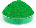 GOODTAKE Concrete Pigment, Grass Green Iron Oxide Pigment Powder, Concrete Cement Dye Color Pigment for Pastel Tile Paint Concrete Cement Mortar Grout (Grass Green, 20 oz)
