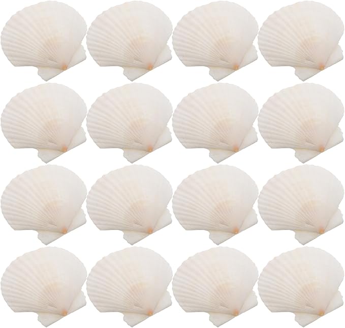 GLEAVI Scallop Shells for Crafts: 21pcs Natural Scallop Shells Bulk 3.14 Inch Sea Shell Decoration for Ocean Themed Parties and Home Decor