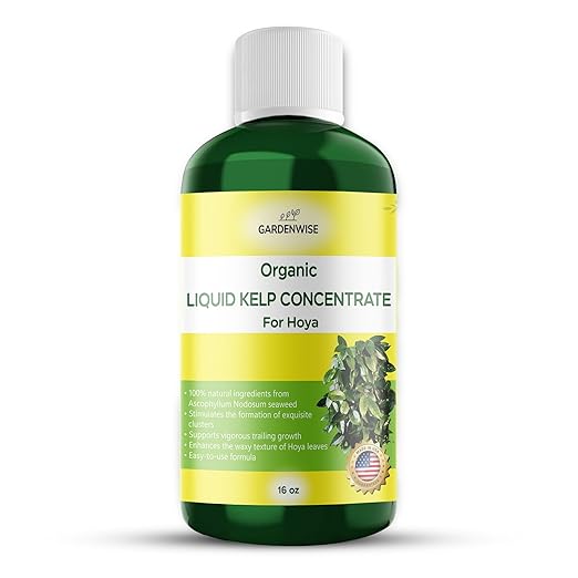 Organic Premium Kelp Seaweed Fertilizer for Hoya - Liquid Fertilizer - Liquid Plant Food - Nutrient-Rich Soil Enhancer - Natural Plant Food for Hoya Plant (16 OZ)
