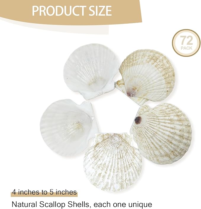 YOUKE OLA 60PCS Scallop Shells for Crafts Large Beach Natural Shells Bulk for Decoupage DIY Crafts Seashell Decorations Home Decor White 4''-4.5''