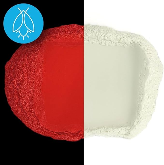 Glow in The Dark Pigment Powder - Neutral and Fluorescent Color for Art Painting, Fine Art, Nail Art Paint, and DIY Crafts - Long Lasting, 10+ Color Options - Neutral Red - (60 Grams/ 2.12 oz)