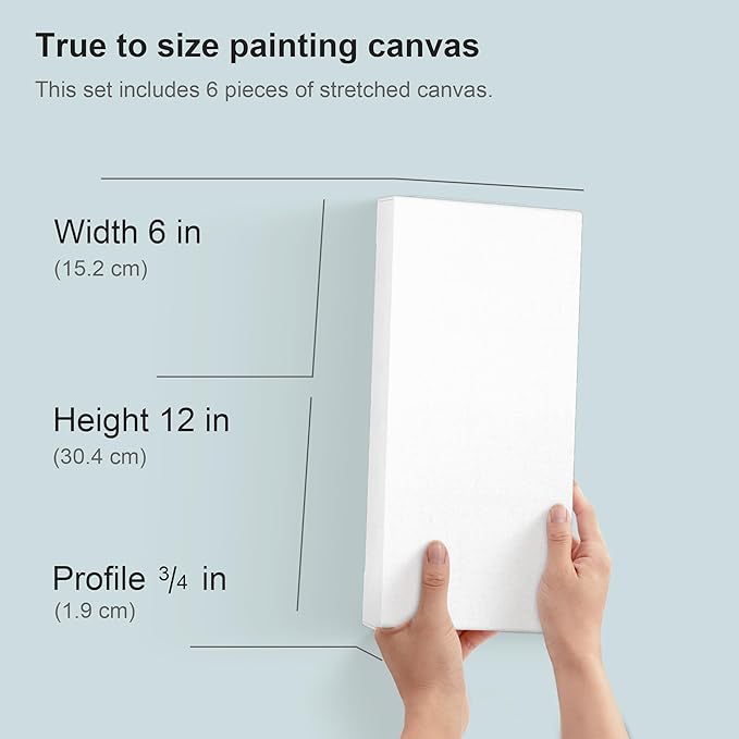 PHOENIX 6x12 Inch 6 Pack Artist Canvas - Small Rectangle Canvases for Painting - 3/4 Inch Profile, 100% Cotton 11 Oz. Gesso Primed White Blank Professional Canvas Oil & Acrylic Paints