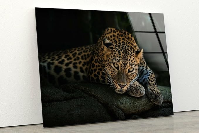 My Photostation.com 43Wx27H'' Fierce Leopard Glass Wall ArtTempered Glass Printing Wall Decor Large Wall Art Wall Hangings