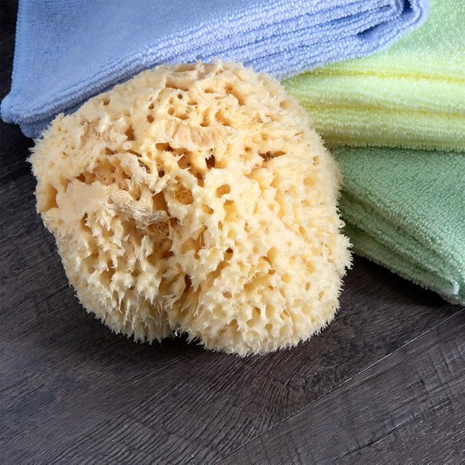 Neptune Natural Sea Wool Sponge - All Natural Honeycomb Renewable Sea Sponge, X -Large, Approx. 6 Inches