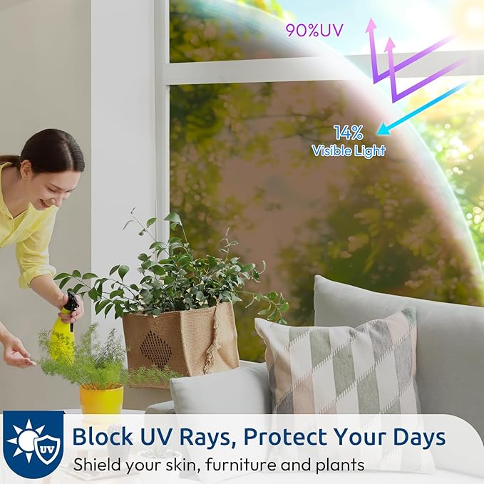 rabbitgoo Window Privacy Film One Way Window Tint for Home, Removable Reflective Heat Sun Blocking Anti UV Glass Door Covering, Mirror Tinting Film House Office, 29.5 in X 6.5 Feet, Brown Silver