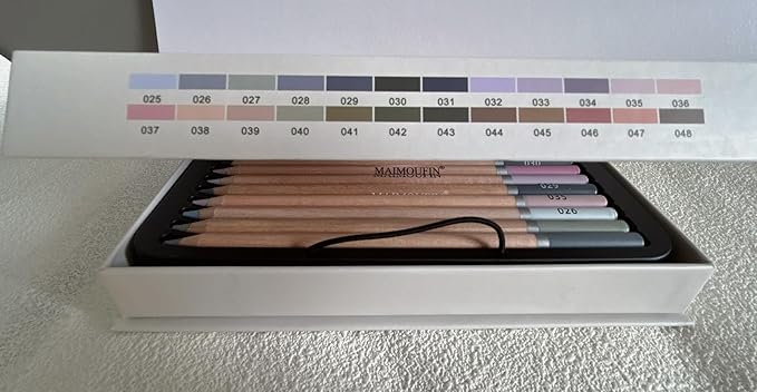 Soft Pastel Pencils 24 Colors Grey Tone Drawing Pencil Set Professional Grade Pastels Art Supplies for Drawing Sketching Coloring(Not Oil-Based) (Grey)
