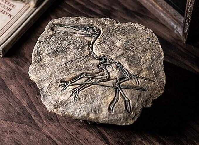 XINDAM Resin Dinosaur Fossil Statue Model Simulated Skeleton Home Office Display Decorative Craft Box Decoration (Style 3)