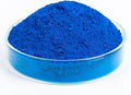 GOODTAKE Concrete Pigment, Blue Iron Oxide Pigment Powder, Concrete Cement Dye Color Pigment for Brick, Tile, Clay, Lime, Mortar, Grout, Plaster, Paint, Bath Bombs Coloring Powder (Blue, 12 oz)
