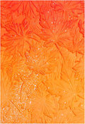 BAOFALI 3D Autumn Theme Plastic Embossing Folders Maple Leaf for DIY Scrapbooking Photo Album Card Paper Craft Decoration for Card Making,Embossing Template Paper Card Embossing Stencil