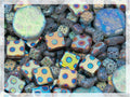 1.75 oz (50g) Mix of Unique Czech Bohemia Glass Pressed Beads, Light Blue AB Sliperit, Patterned, Matte and Glossy, Hand Made BCV