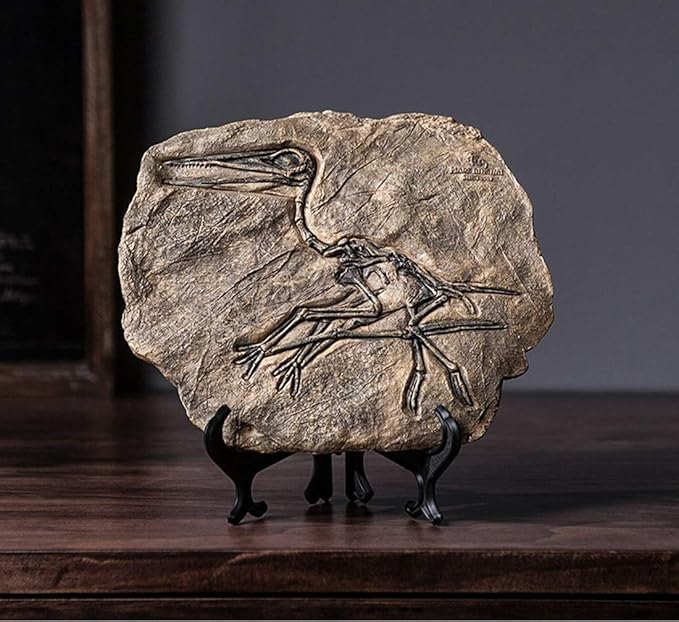 XINDAM Resin Dinosaur Fossil Statue Model Simulated Skeleton Home Office Display Decorative Craft Box Decoration (Style 3)