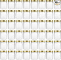 novelinks 8 oz Clear Plastic Jars with Screw-On Lids - BPA-Free Refillable Storage Containers for Slime, Spices, Crafts, Kitchen & Home Organization (48 Pack,Gold)