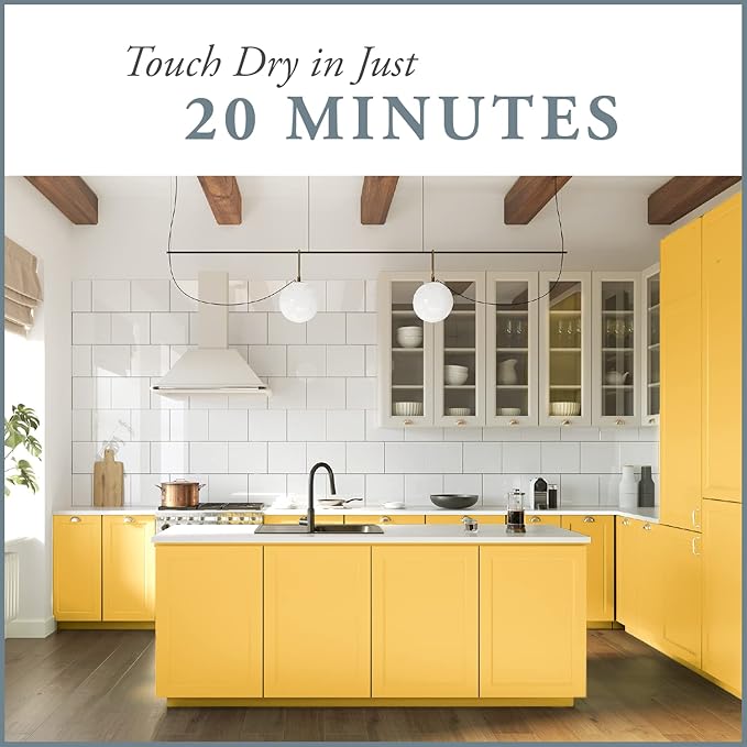 AMY HOWARD AT HOME Chalk-Based One Step Paint for Furniture, Cabinetry, Decor, Finish, and More | No Stripping, Sanding, or Priming | Medium Base | 16 Ounce | Holey Moley