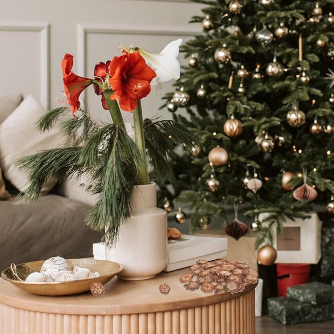 GALPADA Christmas Tree Bark Wood Slices Xmas Ornaments Mini Natural Vintage Round Log Discs for Arts & Crafts Home DIY Table Decoration