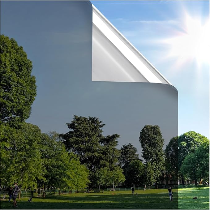 rabbitgoo Window Privacy Film One Way Window Tint for Home, Removable Reflective Heat Sun Blocking Anti UV Glass Door Covering, Mirror Tinting Film House Office, 23.6 in X 9.8 Feet, Black Silver