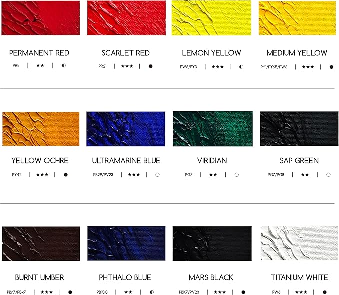 MEEDEN Artist Oil Paint Set - 12 Colors x 170ml/5.7oz Tubes - Art Supplies for Canvas Painting