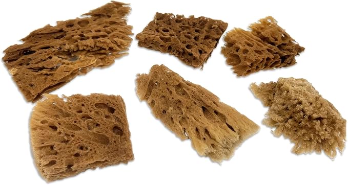 Lullingworth® Artist Natural Sea Sponges: Unbleached 10 Pack 2"-4" Value Set; Creative Art, Faux Painting Effects, Watercolor, Texturing, Marbling, Clay, Pottery, Ceramics, Crafts & Hobbies