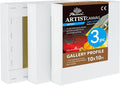 PHOENIX 10x10 Inch 3 Pack Gallery Canvas - 1.5 in Thick Square Canvases for Painting - Deep Edge 100% Cotton 11 Oz. Gesso Primed White Blank Professional Canvas Oil & Acrylic Paints