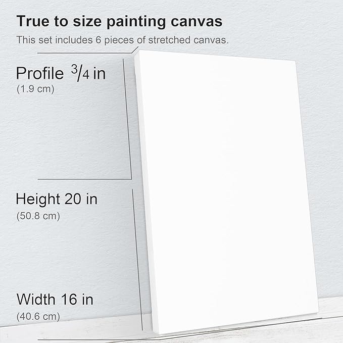 PHOENIX 16x20 Inch 6 Pack Artist Canvas - Large Stretched Canvases for Painting - 3/4 Inch Profile, 100% Cotton 11 Oz. Gesso Primed White Blank Professional Canvas Oil & Acrylic Paints