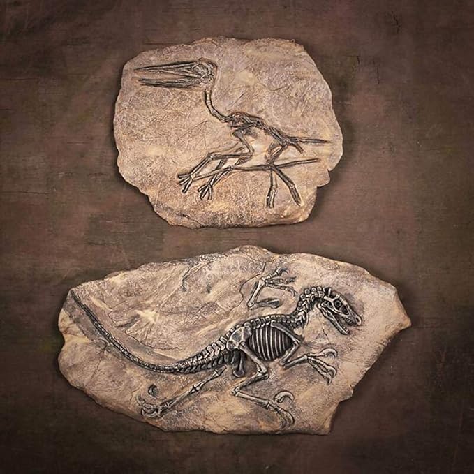 XINDAM Resin Dinosaur Fossil Statue Model Simulated Skeleton Home Office Display Decorative Craft Box Decoration (Style 3)
